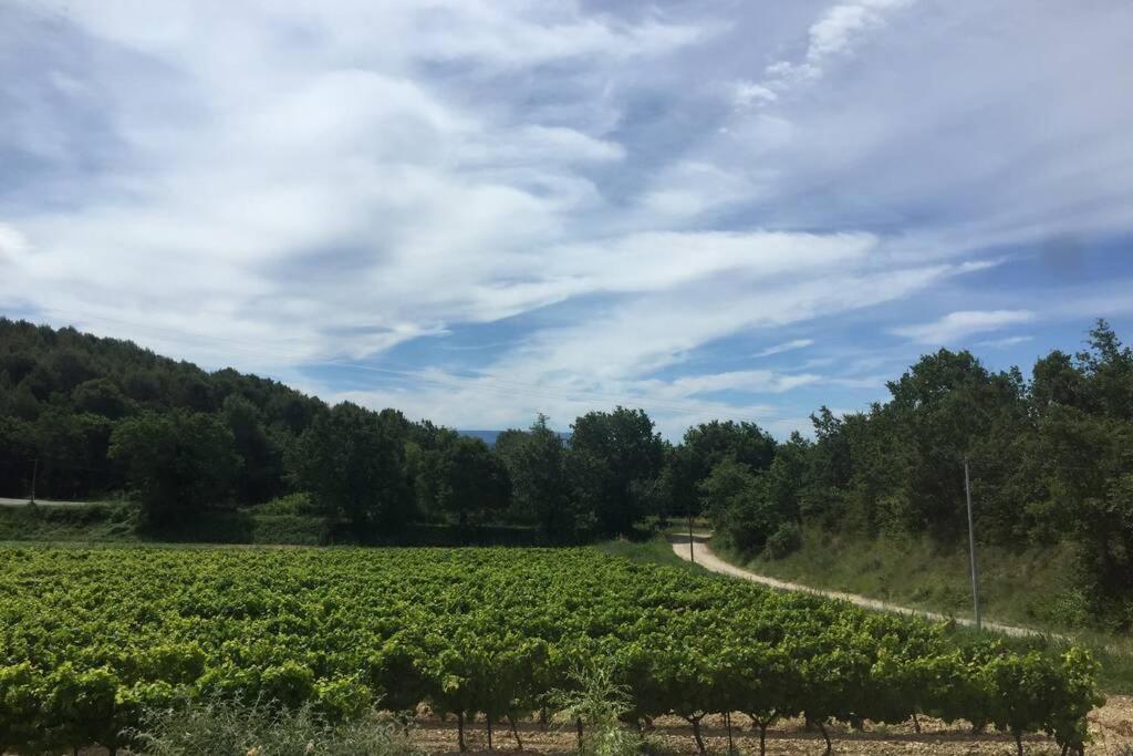 Cabanon De Charme En Plein Coeur Des Vignes Holiday home Pertuis