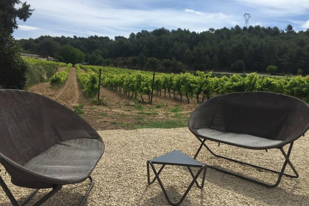 Cabanon De Charme En Plein Coeur Des Vignes * Pertuis