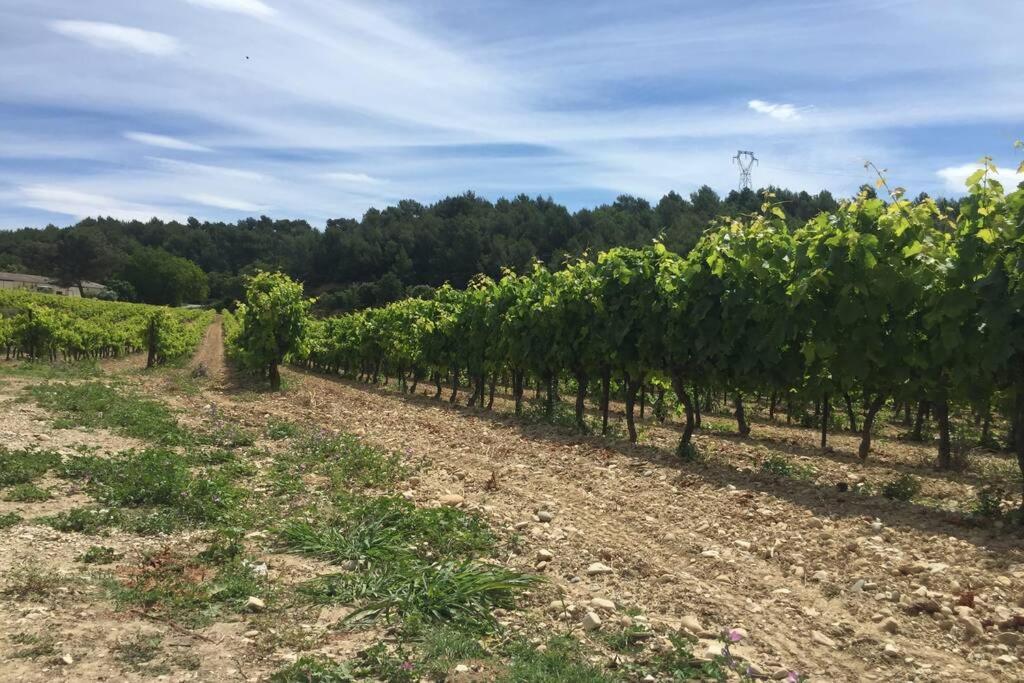 Cabanon De Charme En Plein Coeur Des Vignes Holiday home